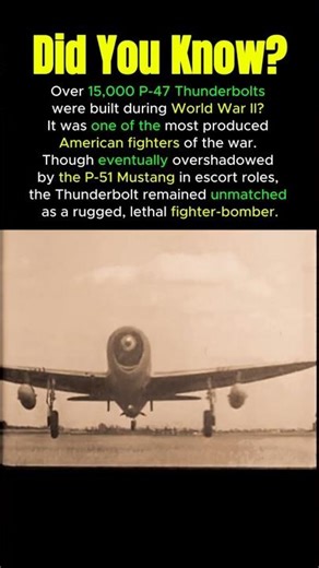 Why Over 15,000 P 47 Thunderbolts Were Built #p47thunderbolt #usaaf #historyfacts