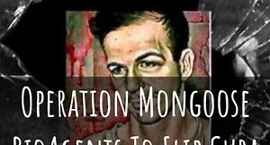 George Webb’s Oswald In New Orleans