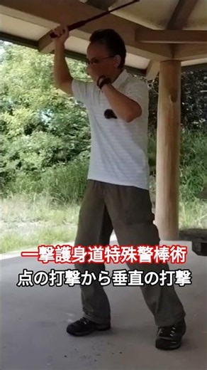From striking the point of the baton technique to striking vertically