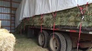 747K views · 3.7K shares | Unloading hay the 'easy way'... Credit: Janet Williamsen | Farming Works | Facebook