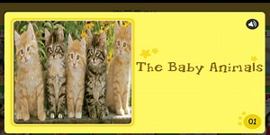 儿童英语绘本 海尼曼 The Baby Animals
