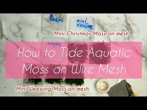 How to Tie Moss to mesh (Attaching Moss On Stainless Steel Mesh)