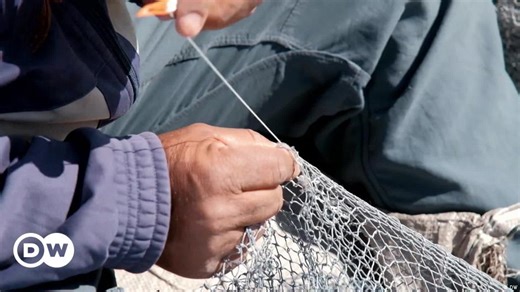 Sustainable fishing methods for Tunisia