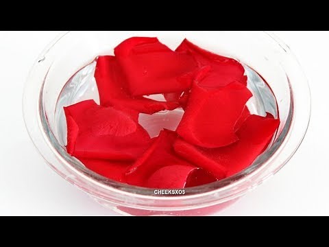 NO GLUE SLIMES! Testing NO GLUE Slime Recipes!
