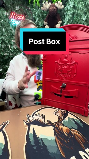 #letterbox #postbox #letter #post #tiktokmademebuyit