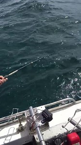Reel screeming fun with another quality Snapper | PRO RED FISHING CHARTERS ,MELBOURNE