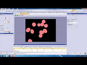 Cellsens DI V2 1 Count and Measure 7 Count Cells with Dapi Auto Split Objects