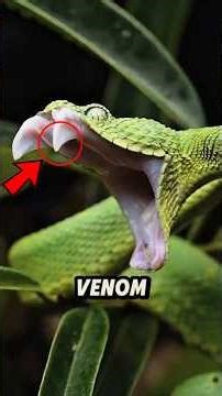 Top 5 Places Humans Should NEVER Visit!. 😳😱