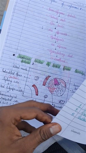 class 12 human reproduction best notes including all key points,PYQs.#neetpreparation#notes#biology