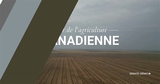 Canada’s Agriculture Day🌾Jour de l’agriculture canadienne Today marks the 10th anniversary of Canada’s Agriculture Day! It’s an opportunity to celebrate the innovation, dedication and resilience of Canada’s agriculture and food sector. To mark the occasion, dig into a Senate report on soil health in Canada. Healthy soils support a strong agricultural future: https://sencanada.ca/en/info-page/parl-44-1/agfo-critical-ground/ __ Aujourd’hui marque le 10ᵉ anniversaire du Jour de l’agriculture canad