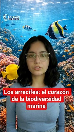 Los arrecifes: el corazón de la biodiversidad marina