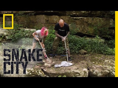 Time to Release the Mamba | Snake City