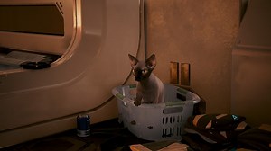 Cyberpunk 2077: How to Get Nibbles the Pet Cat