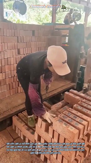🧱 📦 تكديس الطوب في المصنع: كيف تحوّل التراب الخام إلى جدران لا تتزعزع؟