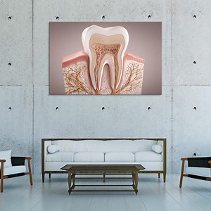 Artistic Tooth Anatomy Wall Art | Modern Dental Clinic Decor | Medical Artwork - Etsy