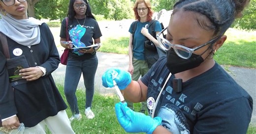 "Virus hunters" are searching for bird flu in NYC