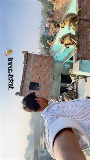 Abhishek Kumar on Instagram: "Monkey First vlog 🐒 #monkeylover#monkeyfans#trendingreels#ᴠɪʀᴀʟᴠɪᴅᴇᴏs#trending tatasierra sierra tatasierra2026 [nature naturephotography, view ,clouds, sunset, trendingreels, naturelovers, weather rahulvillog er, vilog village, virle, TRENDINGREELS, iphone12, viralvideos, village nature, travelling"