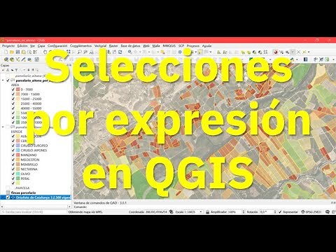 Crear filtros o selecciones por expresión en QGIS