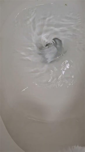 1980s Eljer Sanus Syphoning