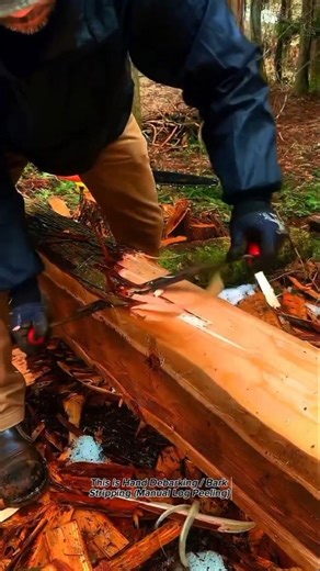 Manual Log Debarking with a Drawknife | Traditional Woodworking Bark Removal Process