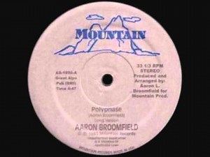 Aaron Broomfield - Polyphase