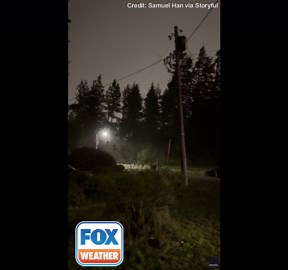 Sparks fly as bomb cyclone takes down tree in Washington