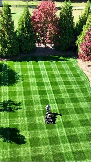 Exploring Lawn Patterns: Checkerboard Lawn Pattern Revealed
