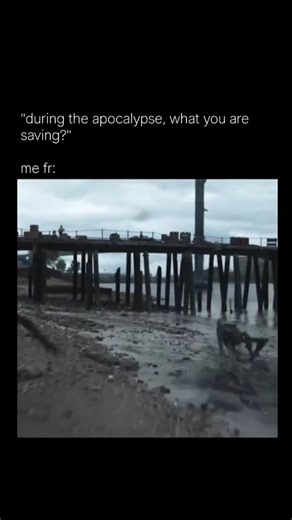 MemeFlicks on Instagram: "💜 This scene is from ‘A Quiet Place: Day One’ (2024), a sci-fi horror thriller starring Lupita Nyong’o and Joseph Quinn that depicts the terrifying chaos of the very first day aliens with ultrasonic hearing invaded New York City. Surprisingly, Lupita Nyong’o had a debilitating fear of cats prior to filming and underwent exposure therapy to work comfortably alongside the two tuxedo cats, Schnitzel and Nico, who played her character’s loyal companion. A Quiet Place: Day