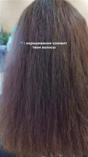 renome_almaty (@renome_almaty)’s videos with original sound - sylvie