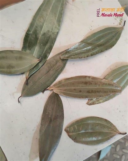 Elephant Ear Bay Leaves | Ultra-Large A1 Bay Leaf Explained | Handpicked & Graded