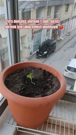 Ters domates yöntemi 1. Gün 🍅