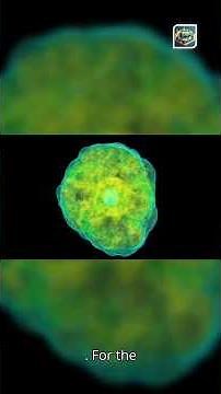 The Star That Burped Before Exploding: Secrets of Supernova 2006jc #sn2006jc #supernova #cosmicburp