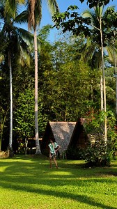 Mini Vlog | Michelle Fox