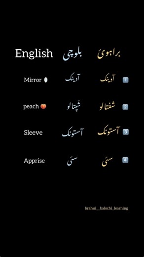 Learn Brahui & Balochi with Ease | Daily Language Lessons