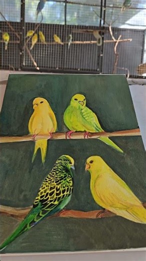 live painting of my pet lovebirds #livepainting #lovebirds #videoshorts #alappuzha