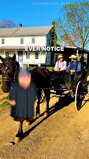 🌾🤝 Amish Life: The Blueprint for Real Happiness — ❓ Cancer-free, child-rich, never alone. While the world scrolls and breaks, Amish build and thrive. Real community. Zero loneliness. Who’s really missing out? — 📲 Maybe it’s time to learn from the only group actually winning. Follow @conspiracy_peterx for more banned truths and reality checks. — #amish #communitypower #loneliness #modernlife #familyvalues #healthsecrets #simplicity #antisystem #realconnection #depressionepidemic #urbanvsrural 