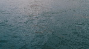 3.5K views · 788 reactions | Secure your 2026 houseboat getaway — best dates, deals & adventure await! | Lake Powell Resorts and Marinas | Facebook