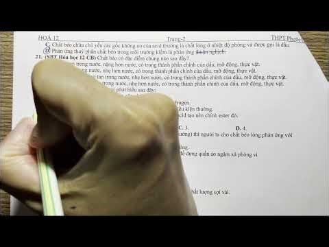 K12-Ôn Thi HKI (Phước Long-Phần Trắc Nghiệm Nhiều Lựa Chọn)