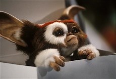 Gremlins 2. La nueva generación - HBO Online