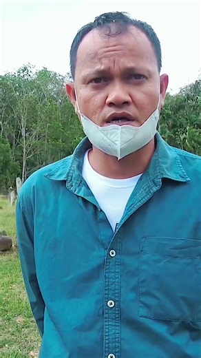Menhir di Maek Seluruhnya Menghadap Gunung Sago. Eps.12 #interes #sejarah #shorts #menhir