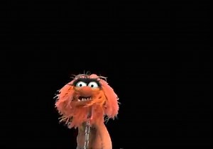 29K views · 1.1K reactions | We know that Animal loves drums and food, but did you know he also loves…bunnies?  | Muppet History | Facebook