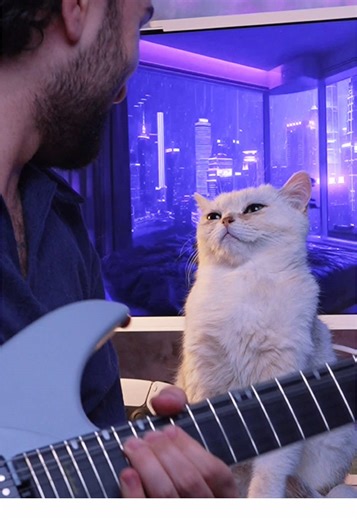 Purple Rain. Enya Inspire. My turn done. Who’s next? 🎸💜 @enyamusicglobal Join the campaign and show your solo! #purplerain #EnyaValentineChallenge #enyamusic #enyaguitar #smartguitar.