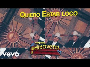 Conjunto Primavera - Quiero Estar Loco (Visualizer)