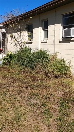 Couple with new born struggled to keep their yard cleaned up so I did it for free. | Lawn Care Juggernaut