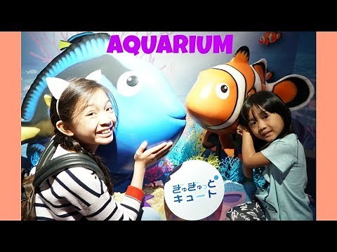 Kaycee & Rachel saw a DOLPHIN at the AQUARIUM