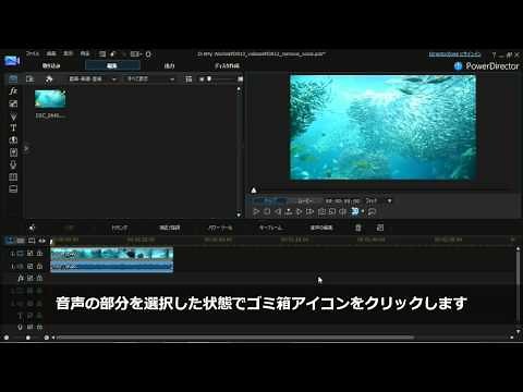 PowerDirector 使い方動画 - 動画から音声を削除