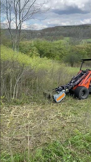 Clear Brush Like a Pro: Forax Mulcher Attachment on an Articulated Loader for Hunting Trails #Shorts