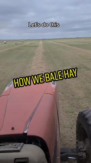 Baling & Railing #CompleteMyLook #farmtok #texaspanhadle #thetattedfarmer #cattlebrewcrew #haymafia #cattlebrewcrew #hayseason