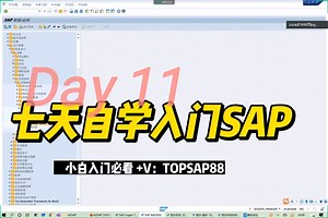 史上最全SAP FICO培训视频课程SAP教程分享啦
