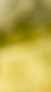 Every day, roughly 14 billion $1 Federal Reserve notes are in circulation, each with its own story to tell. Ever wondered about the actual journey of a dollar bill? 1440’s got your breakdown: https://discover.join1440.com/topics/inflation?utm_source=facebook&utm_medium=social&utm_campaign=business | 1440